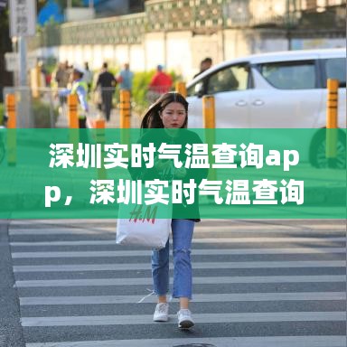 深圳实时气温查询App，便捷生活必备神器