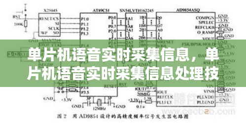 单片机语音实时采集信息处理技术的深度解析与探讨