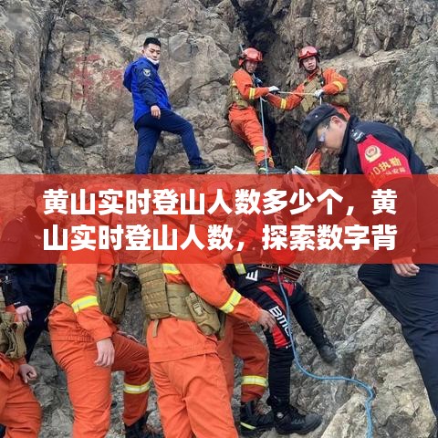 黄山实时登山人数揭秘，数字背后的旅游现象探索