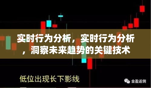 实时行为分析，洞察未来趋势的关键技术揭秘