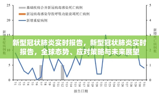 全球新型冠状肺炎实时报告，态势分析、应对策略与未来展望