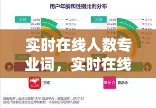 实时在线人数监测，互联网时代用户活跃度与数据分析的关键