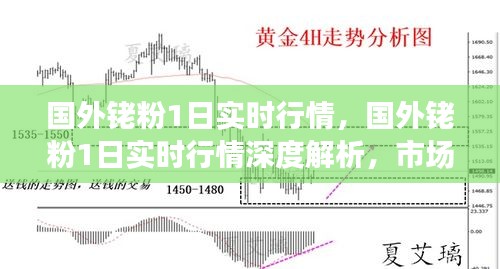 国外铑粉实时行情解析，市场走势、影响因素与前景展望