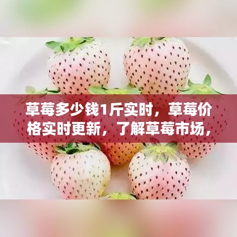 草莓价格实时更新，掌握最新市场行情