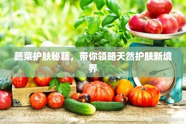 蔬菜护肤秘籍，带你领略天然护肤新境界