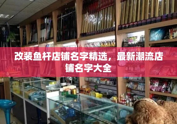 改装鱼杆店铺名字精选，最新潮流店铺名字大全