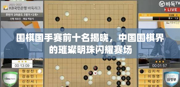 围棋国手赛前十名揭晓，中国围棋界的璀璨明珠闪耀赛场