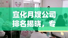 宣化月嫂公司排名揭晓，专业服务品质与信誉的较量