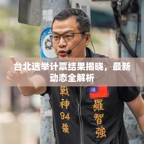 台北选举计票结果揭晓，最新动态全解析