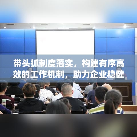 带头抓制度落实，构建有序高效的工作机制，助力企业稳健发展