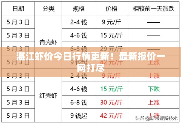 湛江虾价今日行情更新！最新报价一网打尽