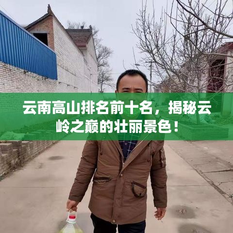 云南高山排名前十名，揭秘云岭之巅的壮丽景色！