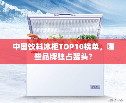 中国饮料冰柜TOP10榜单，哪些品牌独占鳌头？