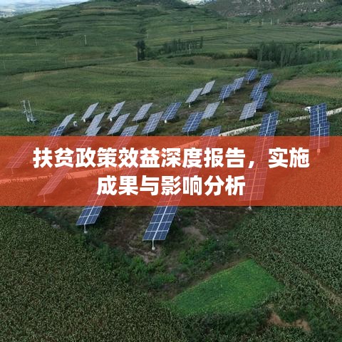 扶贫政策效益深度报告，实施成果与影响分析