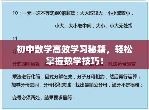 初中数学高效学习秘籍，轻松掌握数学技巧！