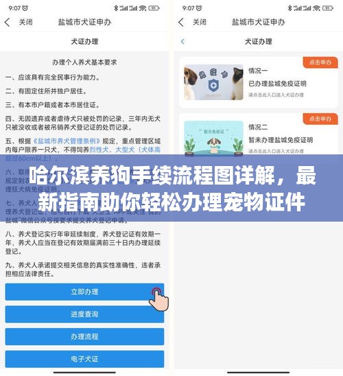 哈尔滨养狗手续流程图详解，最新指南助你轻松办理宠物证件！