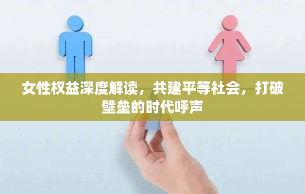 女性权益深度解读，共建平等社会，打破壁垒的时代呼声