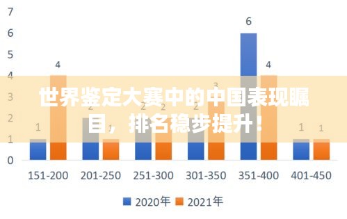 世界鉴定大赛中的中国表现瞩目，排名稳步提升！