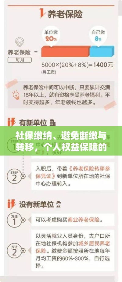 社保缴纳、避免断缴与转移，个人权益保障的关键步骤