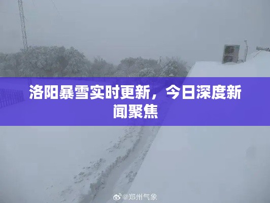 洛阳暴雪实时更新，今日深度新闻聚焦