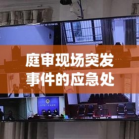 庭审现场突发事件的应急处理与法律实践，实战应对之道