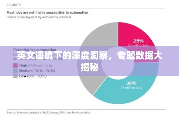 英文语境下的深度洞察，专题数据大揭秘