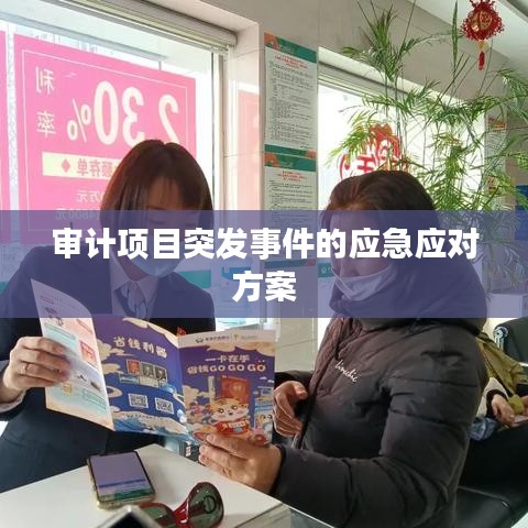 审计项目突发事件的应急应对方案