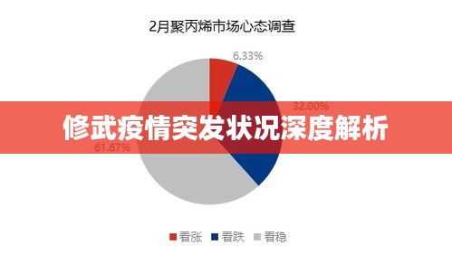 修武疫情突发状况深度解析