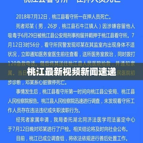 桃江最新视频新闻速递