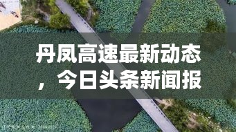 丹凤高速最新动态，今日头条新闻报道速递