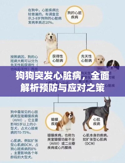 狗狗突发心脏病，全面解析预防与应对之策