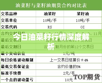 今日油菜籽行情深度解析