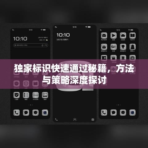 独家标识快速通过秘籍，方法与策略深度探讨