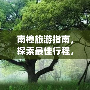 南樟旅游指南，探索最佳行程，让你的旅行惊艳无比！