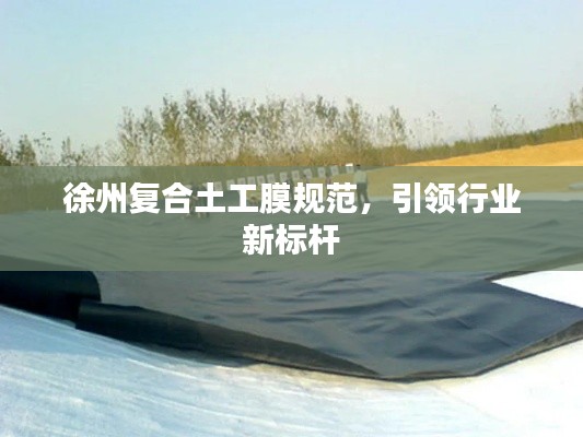 徐州复合土工膜规范，引领行业新标杆