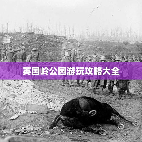 英国岭公园游玩攻略大全