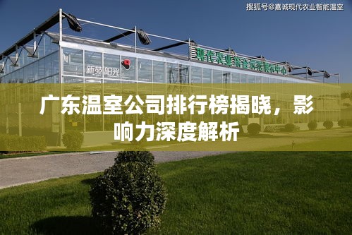 广东温室公司排行榜揭晓，影响力深度解析