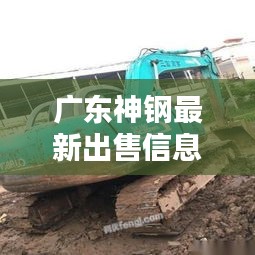 广东神钢最新出售信息一网打尽，实时动态抢先看