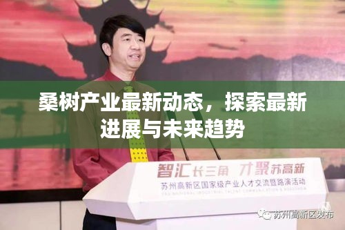 桑树产业最新动态，探索最新进展与未来趋势