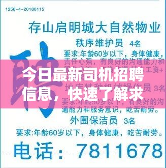 今日最新司机招聘信息，快速了解求职机会！