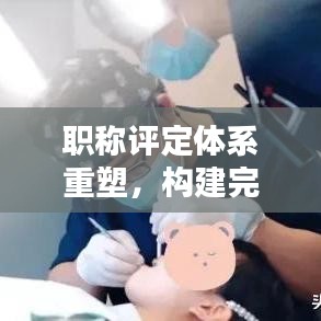 职称评定体系重塑，构建完整、规范的专题资料指南