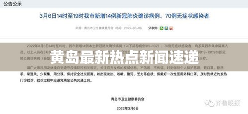 黄岛最新热点新闻速递