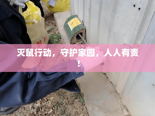 灭鼠行动，守护家园，人人有责！