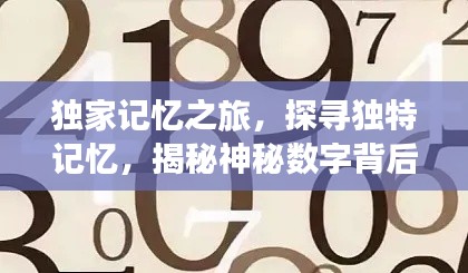独家记忆之旅，探寻独特记忆，揭秘神秘数字背后的故事