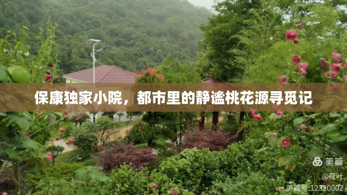 保康独家小院，都市里的静谧桃花源寻觅记