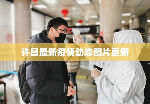 许昌最新疫情动态图片更新