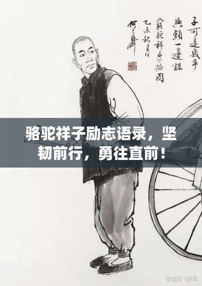 骆驼祥子励志语录，坚韧前行，勇往直前！