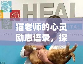猫老师的心灵励志语录，探索内在力量，激发无限潜能