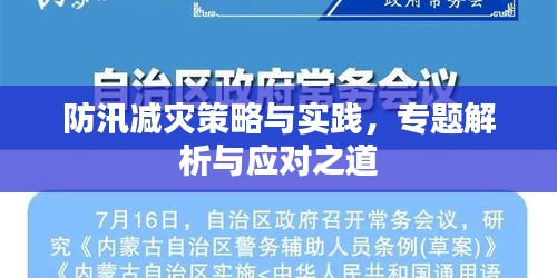 防汛减灾策略与实践，专题解析与应对之道