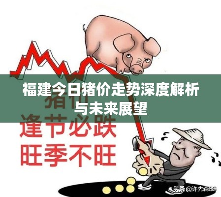 福建今日猪价走势深度解析与未来展望